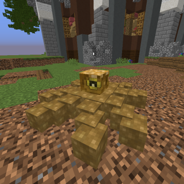 Ahtapot Pet