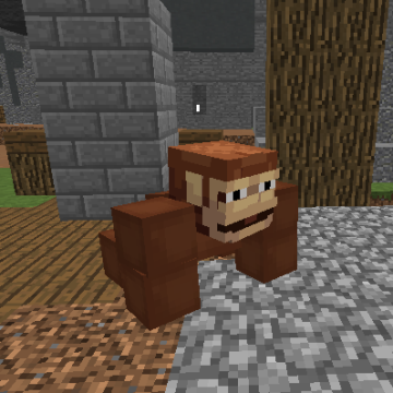 Maymun Pet