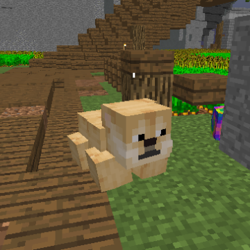 Köpek Pet